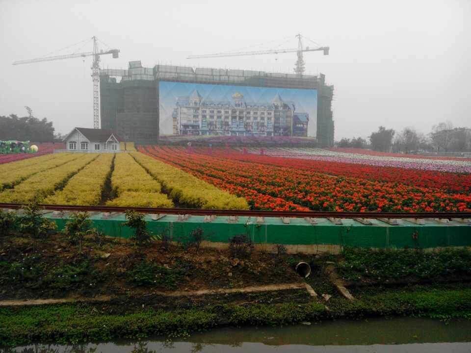 省內\百萬葵園\七彩花田0