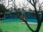 百萬(wàn)葵園-康輝攝影