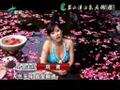2011碧水灣養(yǎng)生之旅
